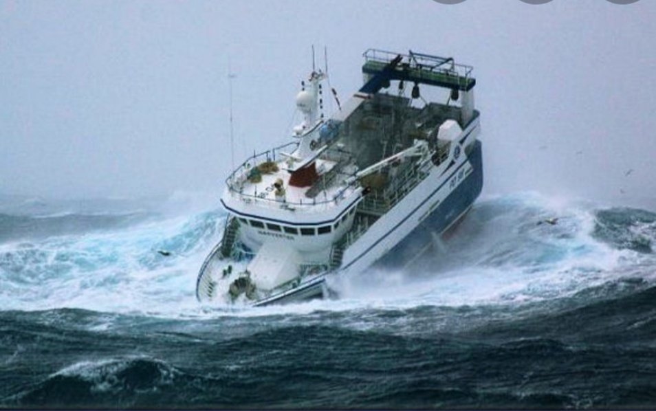 img_20200111_152732816653594847688126.jpg?w=954